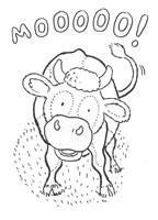Cow Colour In