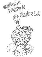 Turkey Colour In