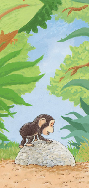 Bobo Climbing Onto Stone