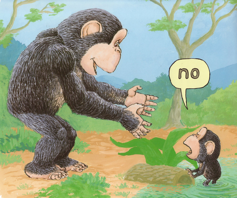 Bobo Says No